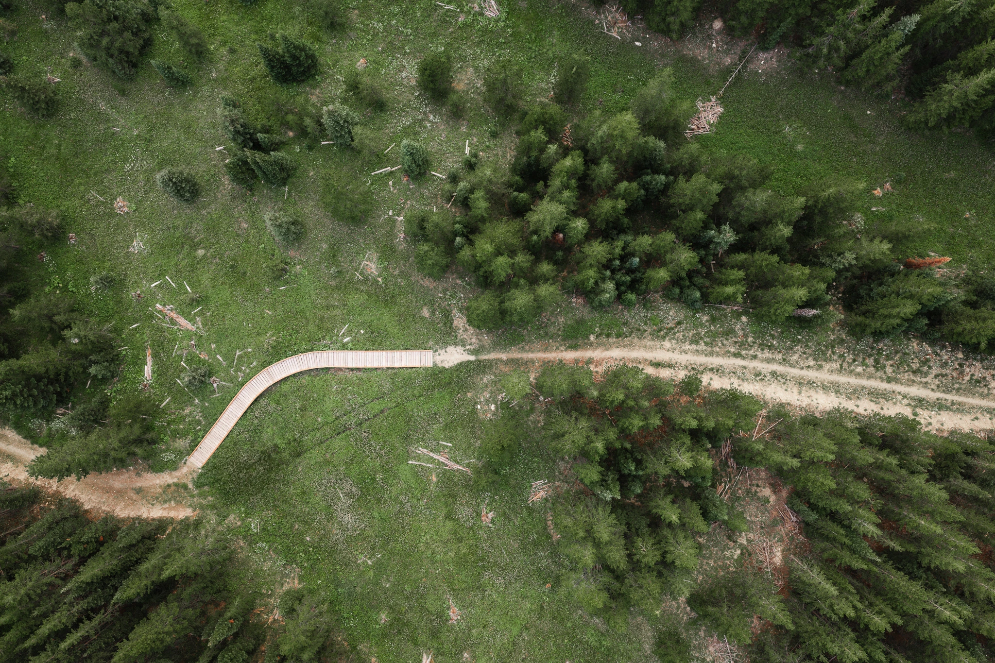 Aerial view of a forest road through the pines — architectural photography Big Sky Montana, Speedwell Cabin